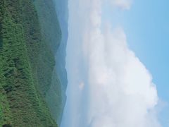 -武陵山森林公园