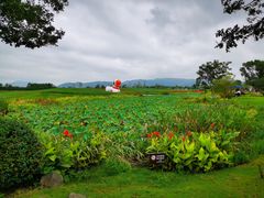 -径山花海