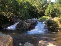 -天女山森林公园