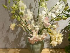 -十二舍·湯物素煮(江泰潤政店)