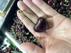-登州市场(登州路店)