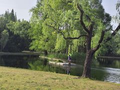 -共青国家森林公园-南大门停车场