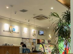 -Blueglass酸奶(财富购物中心店)