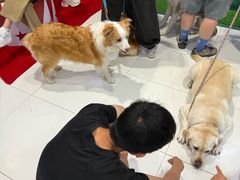 -砂之船奥特莱斯(合肥店)