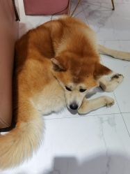 -JX今喜美甲美睫