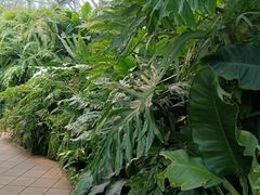 -国家植物园南园