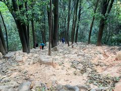 -火炉山森林公园