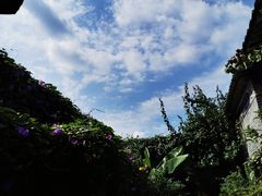 -老屋咖啡