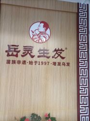 -岳灵生发养发馆