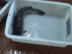 -鱼教头石泉老街石锅鱼(高新店)