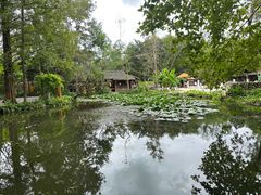 -桂林古东瀑布景区