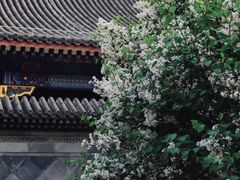 -恭王府博物馆