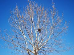 -安德鲁户外烧烤帐篷营地(马泉营店)