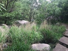 -碓臼峪自然风景区