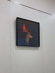 -AIST爱思特医疗美容医院