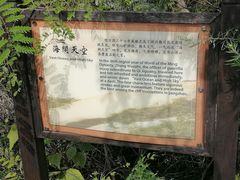 -洋山深水港