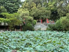 -国恩寺