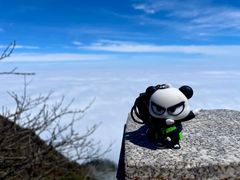 -峨眉山风景名胜区