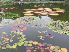 -国家植物园南园