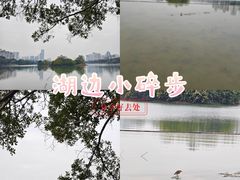 -南宁南湖公园