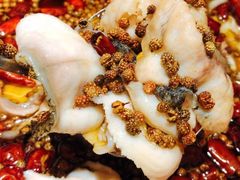 -金三可市井水煮鱼(金碧园店)