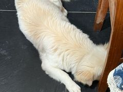 -云河农家乐饭店(福禄缘树山店)