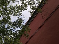 -故宫博物院(故宫)