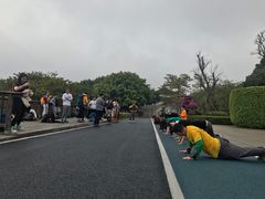 -大湾区中央湿地公园
