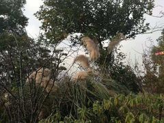 -嬉乐湾休闲旅游区