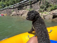 -安吉龙王山峡谷漂流