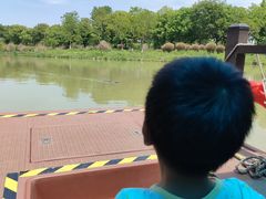 -中国扬子鳄村