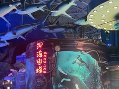 -烟台海昌鲸鲨海洋公园
