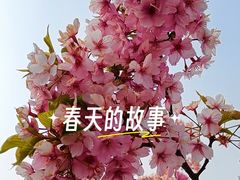 -新江湾城公园