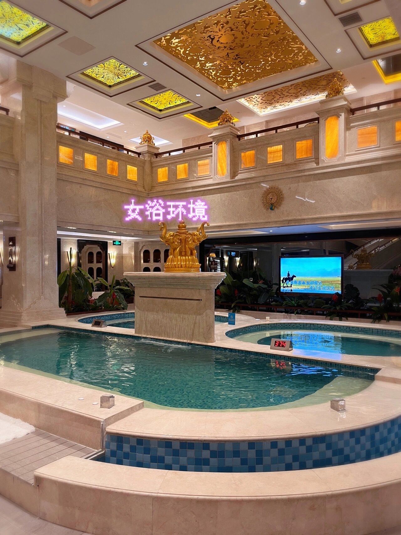 1156693店名: 乐汤汇温泉生活馆南开店 乐汤汇温泉生活馆(南开