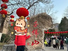 -千佛山风景名胜区