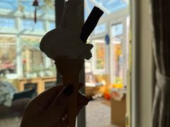 -富豪雪糕车流动点(尖沙咀)