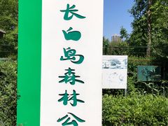 -长白岛森林公园