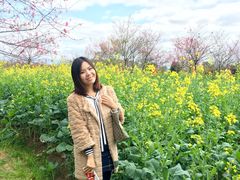 -天适樱花悠乐园