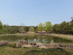 -同里国家湿地公园
