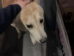-一围肥牛肉小火锅(佳兆业广场店)