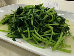 茼蒿-怡园饭店-餐厅(四望亭店)