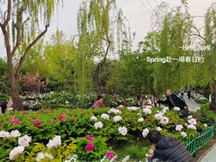 -太阳宫公园