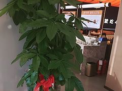 -蒙都43°9羊火锅(平庄店)