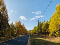 -塞罕坝国家级自然保护区