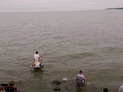 -尚贤河湿地