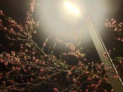 -生火火·小炉子炭烤(金楠天街总店)