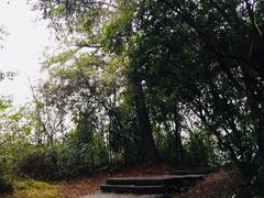-武夷山风景名胜区-虎啸岩