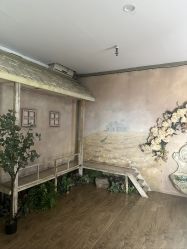 -贯日漂亮宝贝儿童摄影