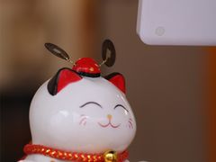-呷贺盐酥鸡(抄纸巷店)