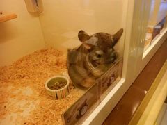 -龙猫仔乐园(惠福东路店)